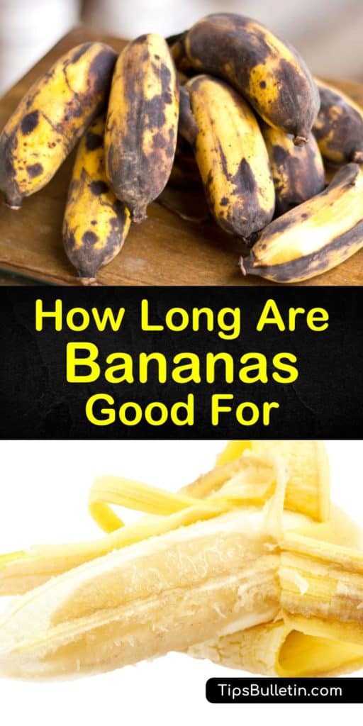 To store them correctly you must know how long do bananas last. Store unripe bananas at room temperature and ripe bananas in the fridge to extend their shelf life. The best way to speed up the ripening process is to place green bananas inside a brown paper bag. #banana #ripe #spoil