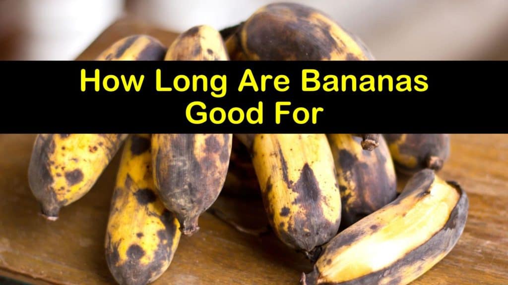 How Long are Bananas Good for titleimg1