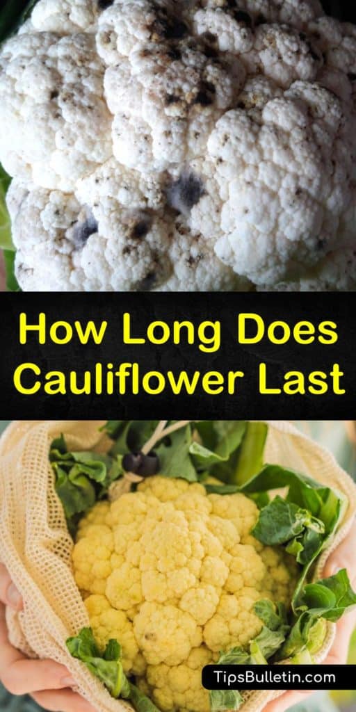 Transform a head of cauliflower into a new dish that makes cauliflower last longer than all your other veggies. We teach you how to blanch and store cauliflower and transform cooked cauliflower into new foods with these fresh cauliflower storage tips and recipes. #keep #cauliflower #fresh