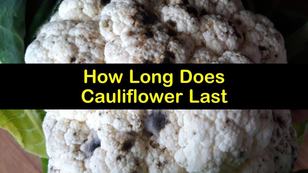 How Long Does Cauliflower Last titleimg1