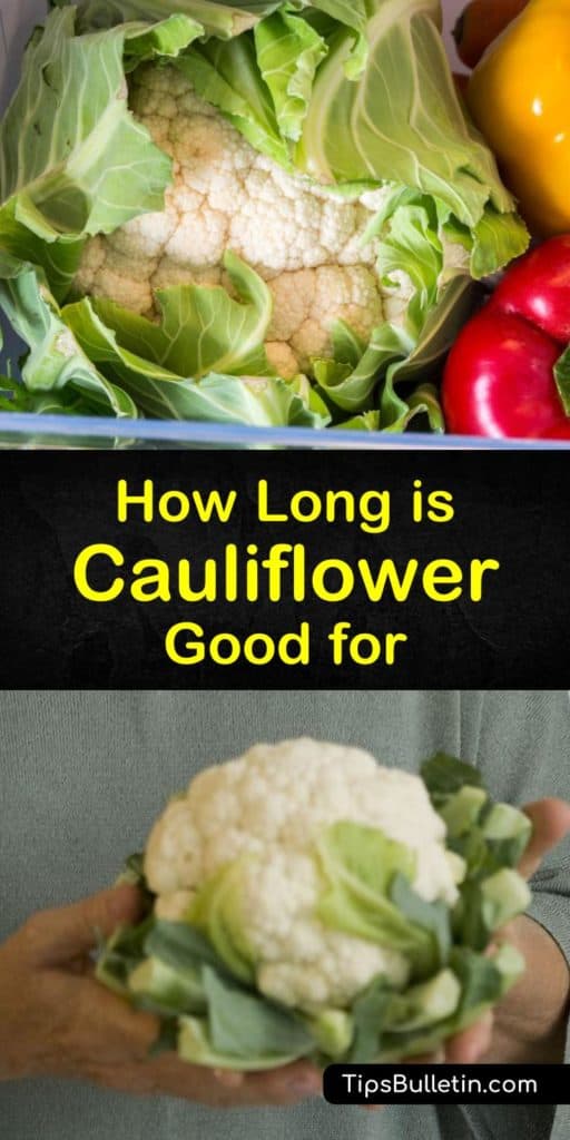 How long does cauliflower last? Learn how to store cauliflower as a whole head or florets for the longest shelf life. Store fresh or cooked cauliflower in the fridge short term and freeze cauliflower for long term storage. #cauliflower #spoil #fresh