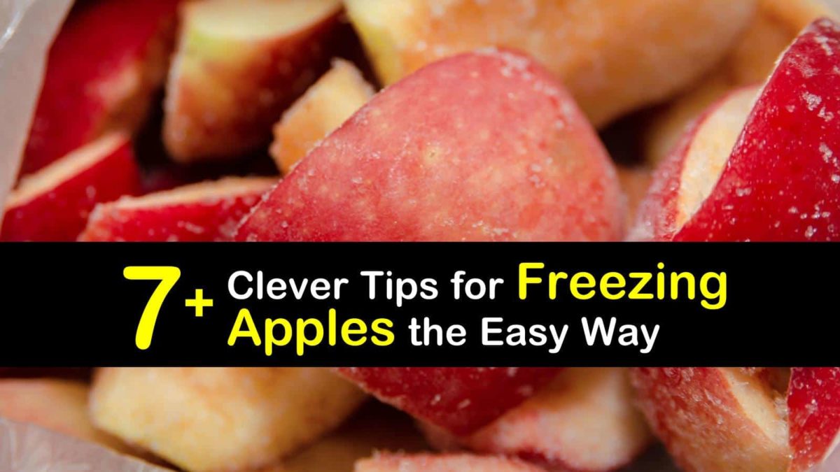 7+ Clever Tips for Freezing Apples the Easy Way