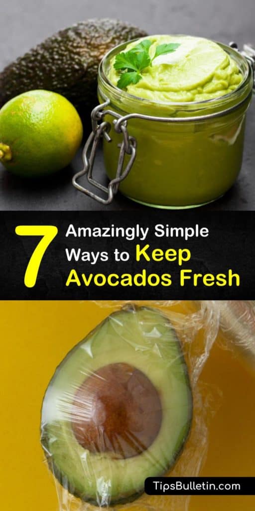 Learn how to store ripe avocados at room temperature and keep them from turning brown. Store avocados in the freezer for smoothies, and refrigerate cut avocados in an airtight container or plastic wrap. #avocado #storage #fresh #howto