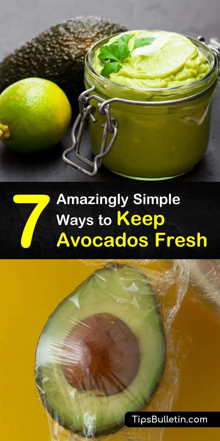 7 amazingly simple ways to keep avocados fresh