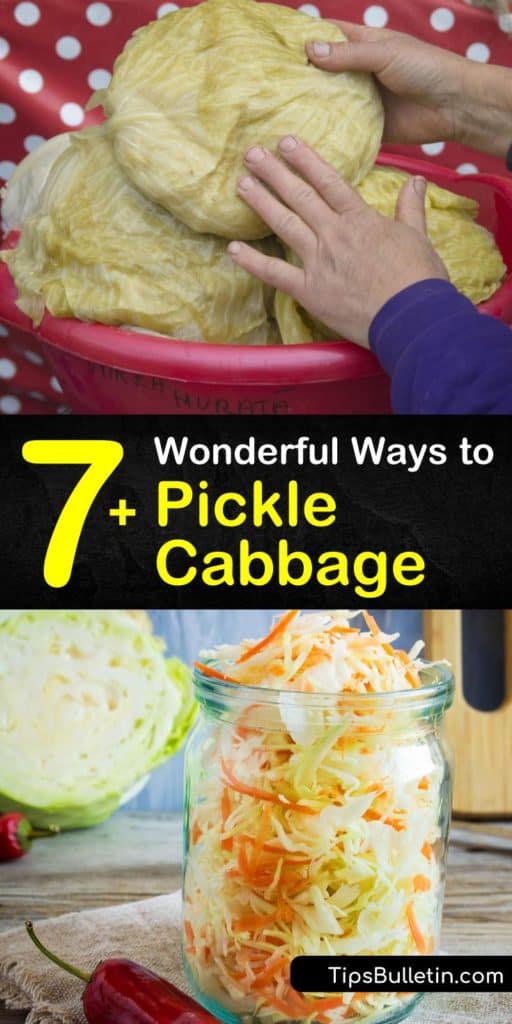 Create your own quick pickled cabbage and pickled red cabbage recipes using tasty ingredients like apple cider vinegar and peppercorns. These recipes transform plain cabbage into a sauerkraut side dish and taste amazing on tacos and hot dogs. #howto #pickle #cabbage