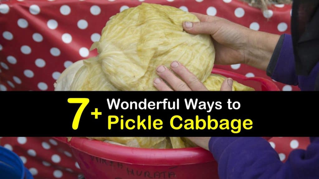 How to Pickle Cabbage titleimg1