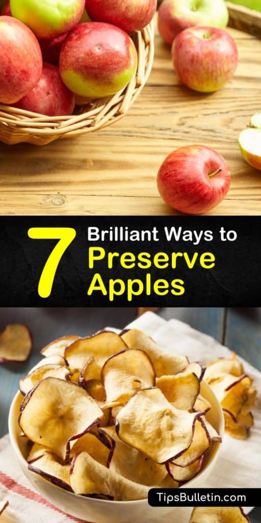 Preserving apples is easy, whether you opt to make apple cider, apple butter, or canned apples for apple pie filling. Freezing apples is another way to preserve apples for apple pie and dried apples are great for snacks. #howto #preserve #fresh #apples