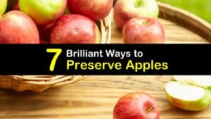 How to Preserve Apples titleimg1