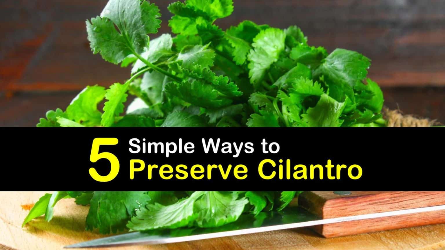 5 Simple Ways to Preserve Cilantro