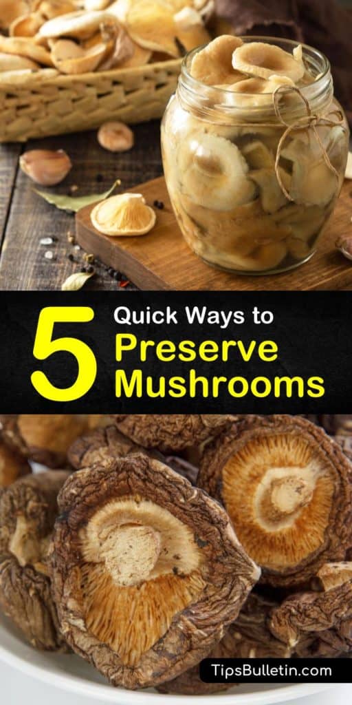 Devour chanterelles, morels, and other fresh mushrooms for the rest of the year with these methods to preserve whole mushrooms. From blanching in boiling water to soaking them in cold water and lemon juice, these tips give you mushrooms that last longer than ever before. #howto #preserve #mushrooms