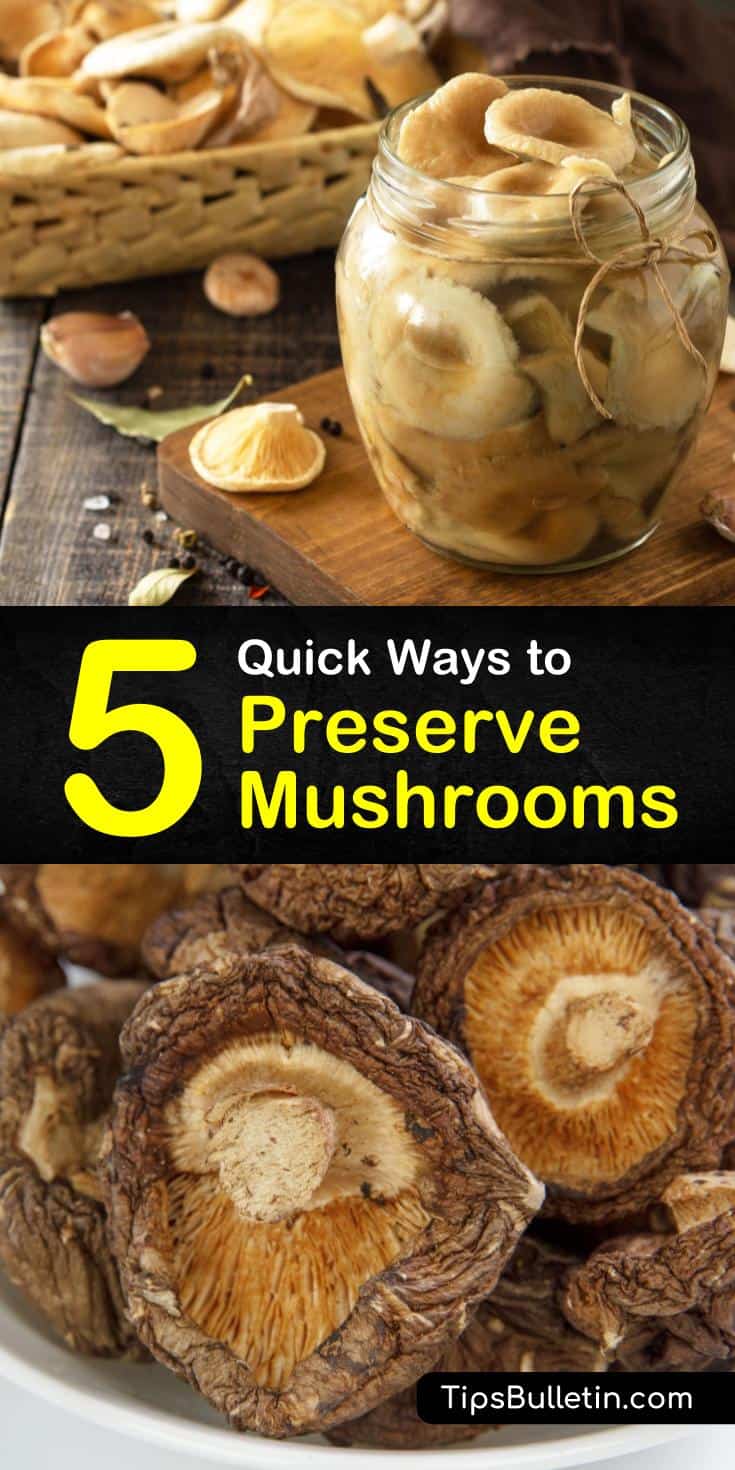 5 Quick Ways to Preserve Mushrooms