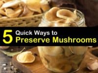 How to Preserve Mushrooms titleimg1