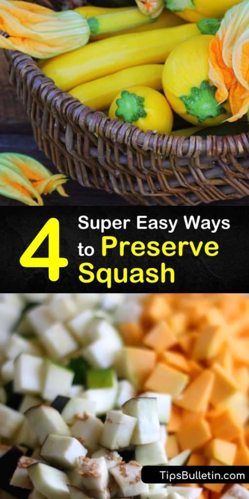 Learn how to wash, drain, and blanch in boiling water, and even give an ice water bath to some of your favorite summer and winter squash varieties. This is your one-stop guide teaching you how to store zoodles in freezer bags and cook crookneck squash casseroles. #howto #preserve #squash