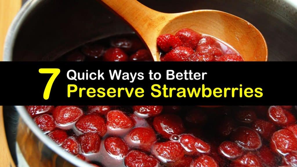 How to Preserve Strawberries titleimg1