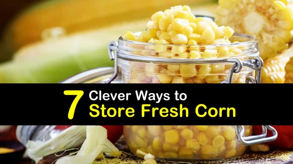 7 Clever Ways to Store Fresh Corn - Tips Bulletin