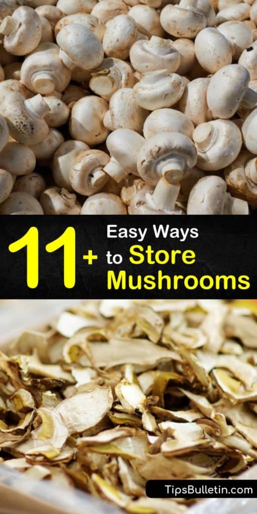 Learn how to keep store-bought or wild mushrooms to extend their shelf life and prevent them from getting slimy. Store them in a damp paper towel and paper bag in the fridge or freeze mushrooms in an airtight container for long term storage. #storing #mushrooms #howto #fresh