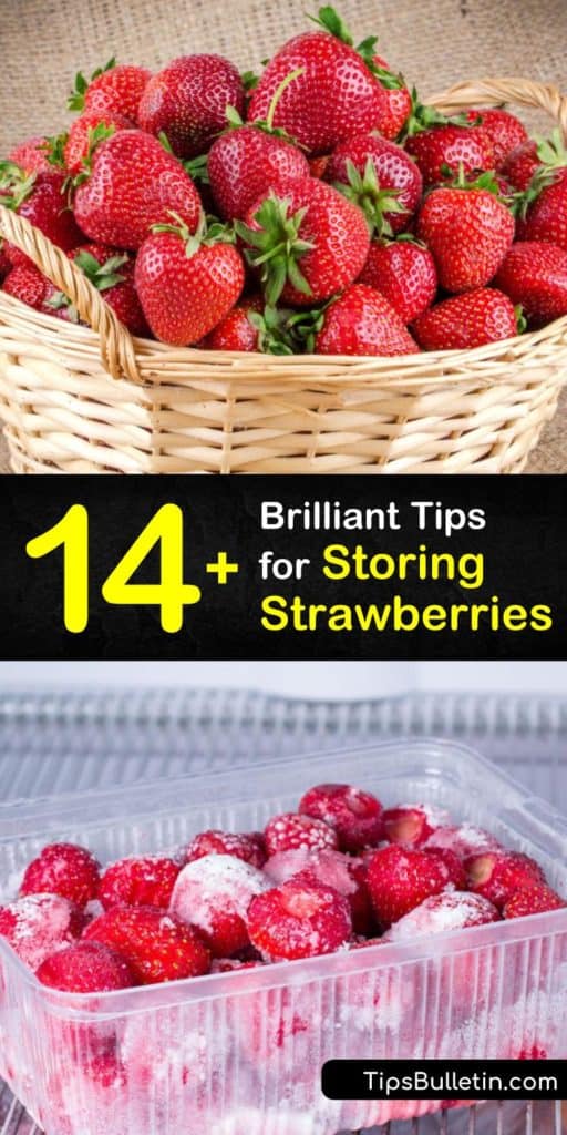 Discover how to keep strawberries-fresh at room temperature to eat right away or store strawberries in a freezer bag for smoothies and desserts. We’ll show you how to make pickled strawberries, strawberry jam, and other storage recipes. #howto #storing #strawberries #preserve