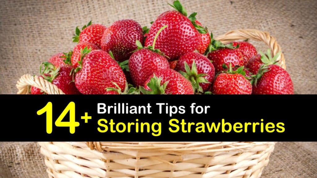 How to Store Strawberries titleimg1