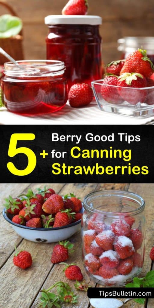 Gather your pectin, hot jars, and water bath canner to start canning strawberries and turn them into sides and salsas you’ve never tried. This canning guide teaches you everything to know about water bath canning and home canning fruits and veggies of all kinds. #howto #canning #strawberries