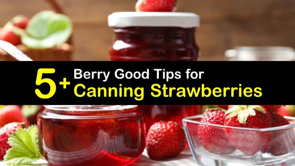 Canning Strawberries titleimg1