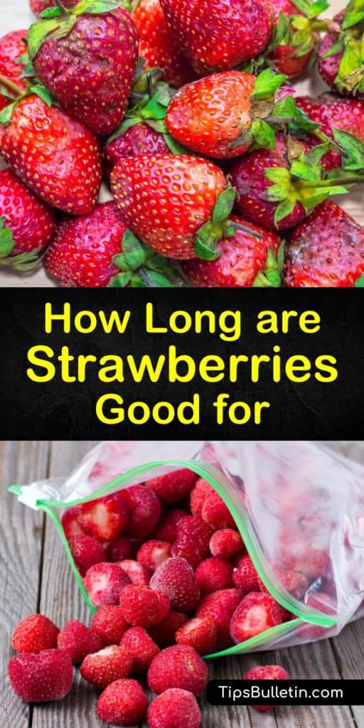 Find out the shelf life for strawberries, whether they're whole strawberries or sliced, and whether they're frozen strawberries or stored at room temperature. Plus, learn how best to store strawberries in the fridge and how to freeze strawberries. #strawberries #fresh #shelflife