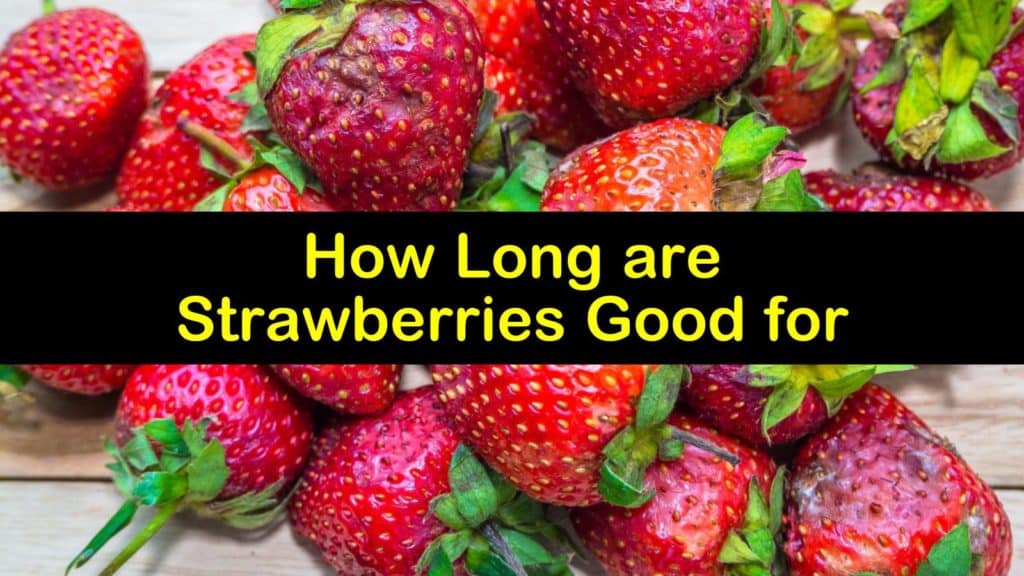How Long are Strawberries Good for titleimg1