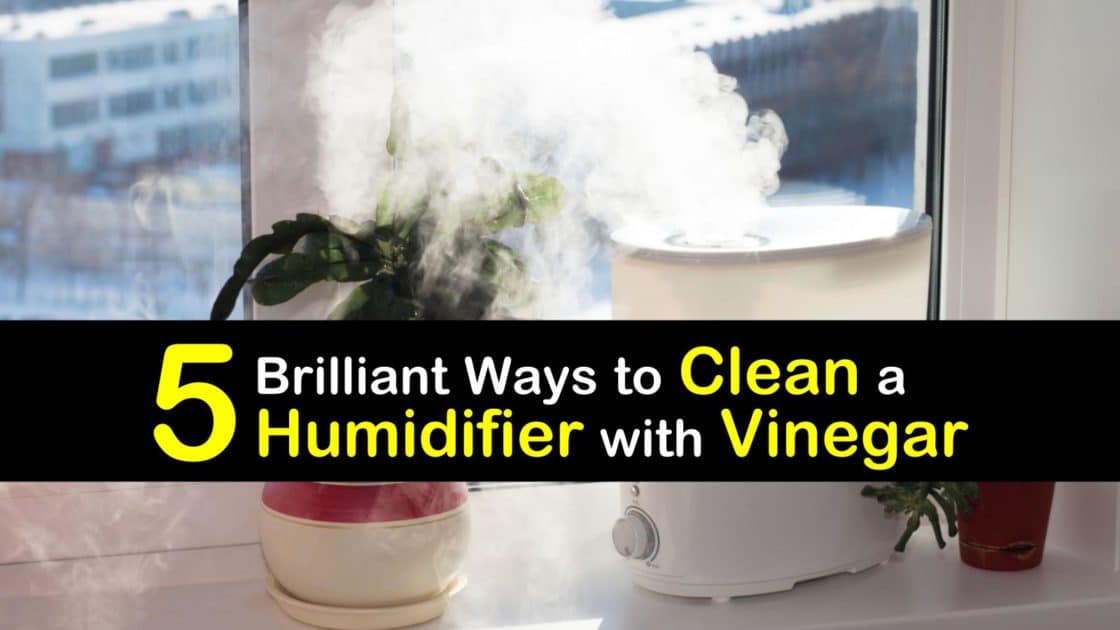 5 Brilliant Ways to Clean a Humidifier with Vinegar