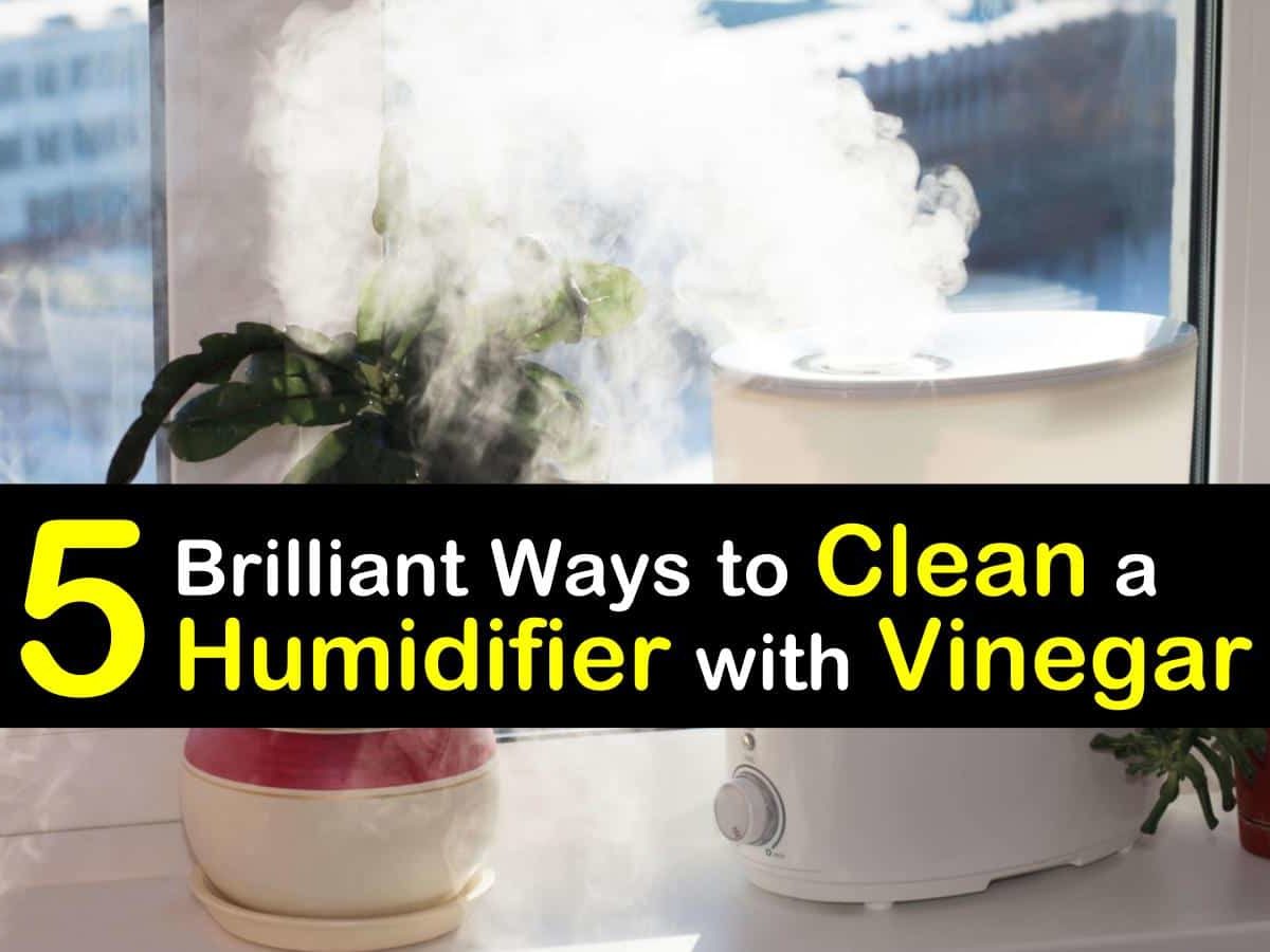 29 Brilliant Ways to Clean a Humidifier with Vinegar