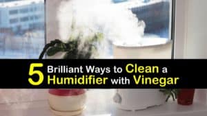 How to Clean a Humidifier with Vinegar titleimg1
