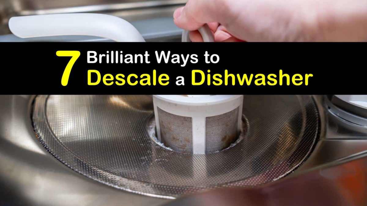 7 Brilliant Ways to Descale a Dishwasher