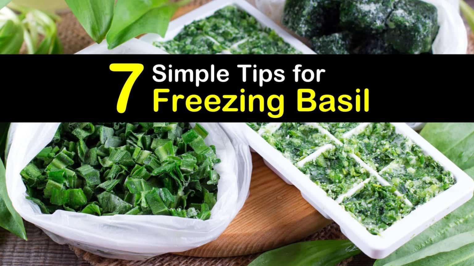 7 Simple Tips for Freezing Basil