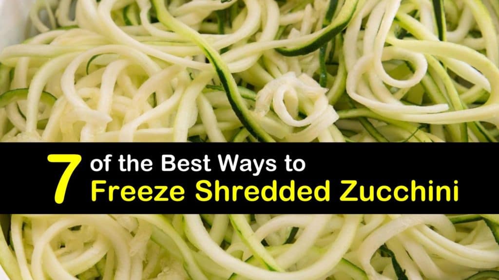 How to Freeze Shredded Zucchini titleimg1