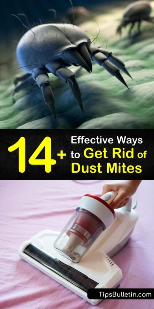 It’s important to take steps to kill dust mites in your home if you have a dust mite allergy to prevent allergic reactions such as sneezing. Learn how to get rid of dust mites by vacuuming, and using a HEPA filter and dehumidifier. #howto #getridof #dustmites