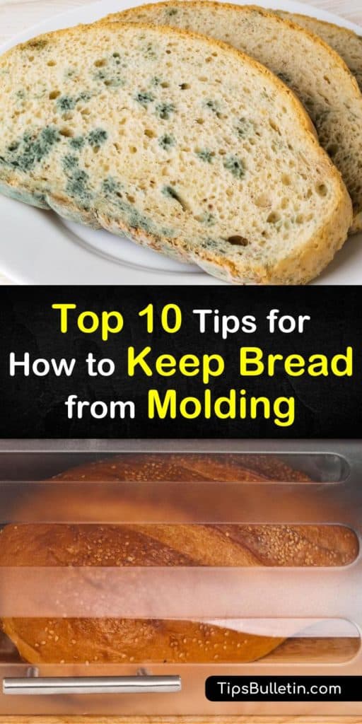 Find out the best ways to store bread to prevent it from developing mold, whether it's a whole loaf or sliced bread. At room temperature, try using a bread box or a sealed paper bag, or place your loaf of bread in the fridge or freezer. #bread #storage #mold #prevent