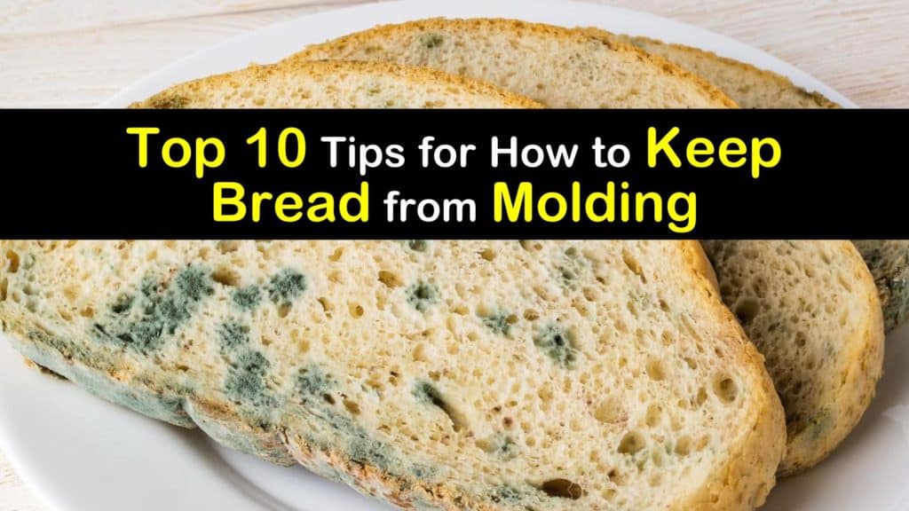 Come mantenere il pane da stampaggio titleimg1