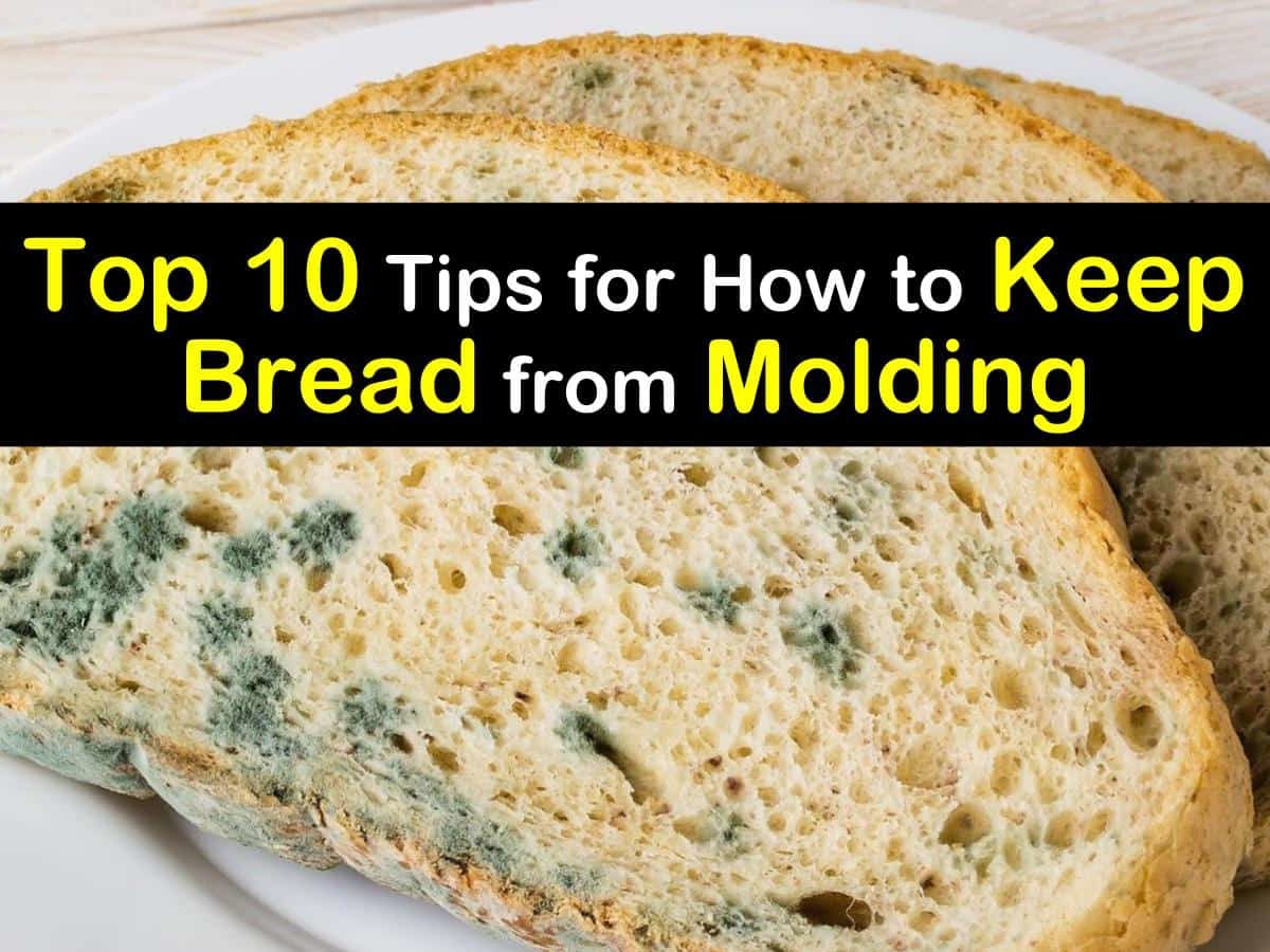 MicroZap: New technologies help stop bread molding for longer and