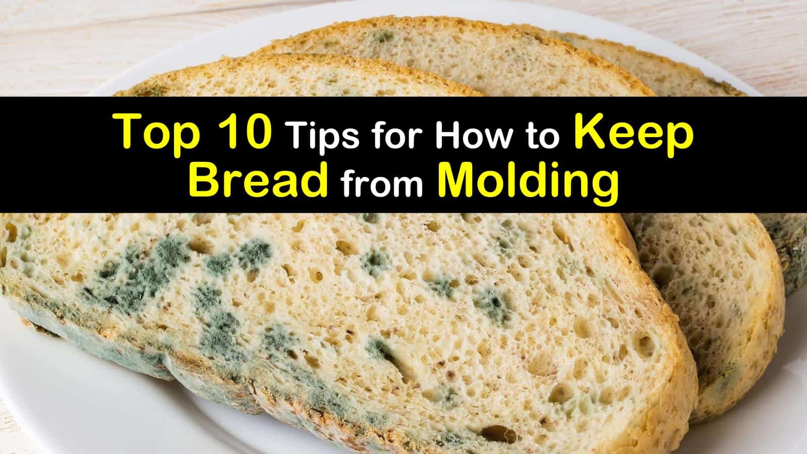 Top 10 Tips for How to Keep Bread from Molding