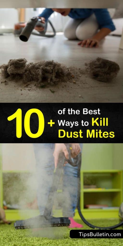 Keep yourself protected from a dust mite allergy with these tips to kill dust mites. Learn proper vacuuming techniques for carpeting, how to put a HEPA filter in a dehumidifier, and how to clean washable fabrics like pillowcases to remove old skin cells. #howto #getridof #dustmites