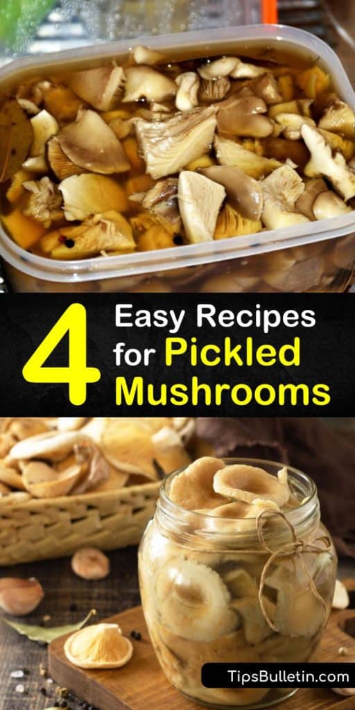 Try our basic recipe for pickling mushrooms, which involves vinegar, two cups of water, sugar, salt, and seasonings like black peppercorns, garlic cloves, and sprigs of herbs. Plus, sample a variation that marinates the mushrooms at room temperature. #mushrooms #pickle #howto