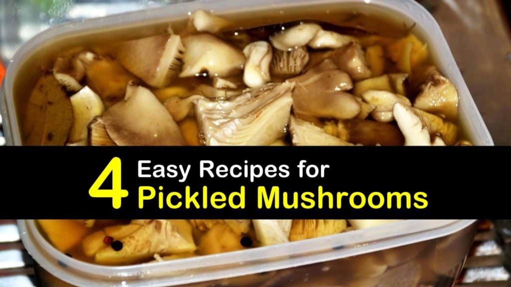 How to Pickle Mushrooms titleimg1