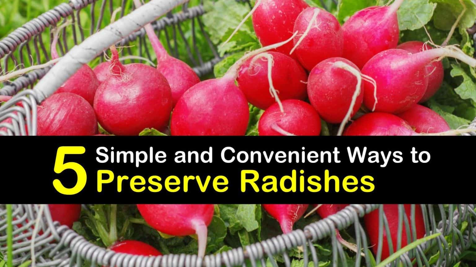 Preserve Radishes the DIY Way
