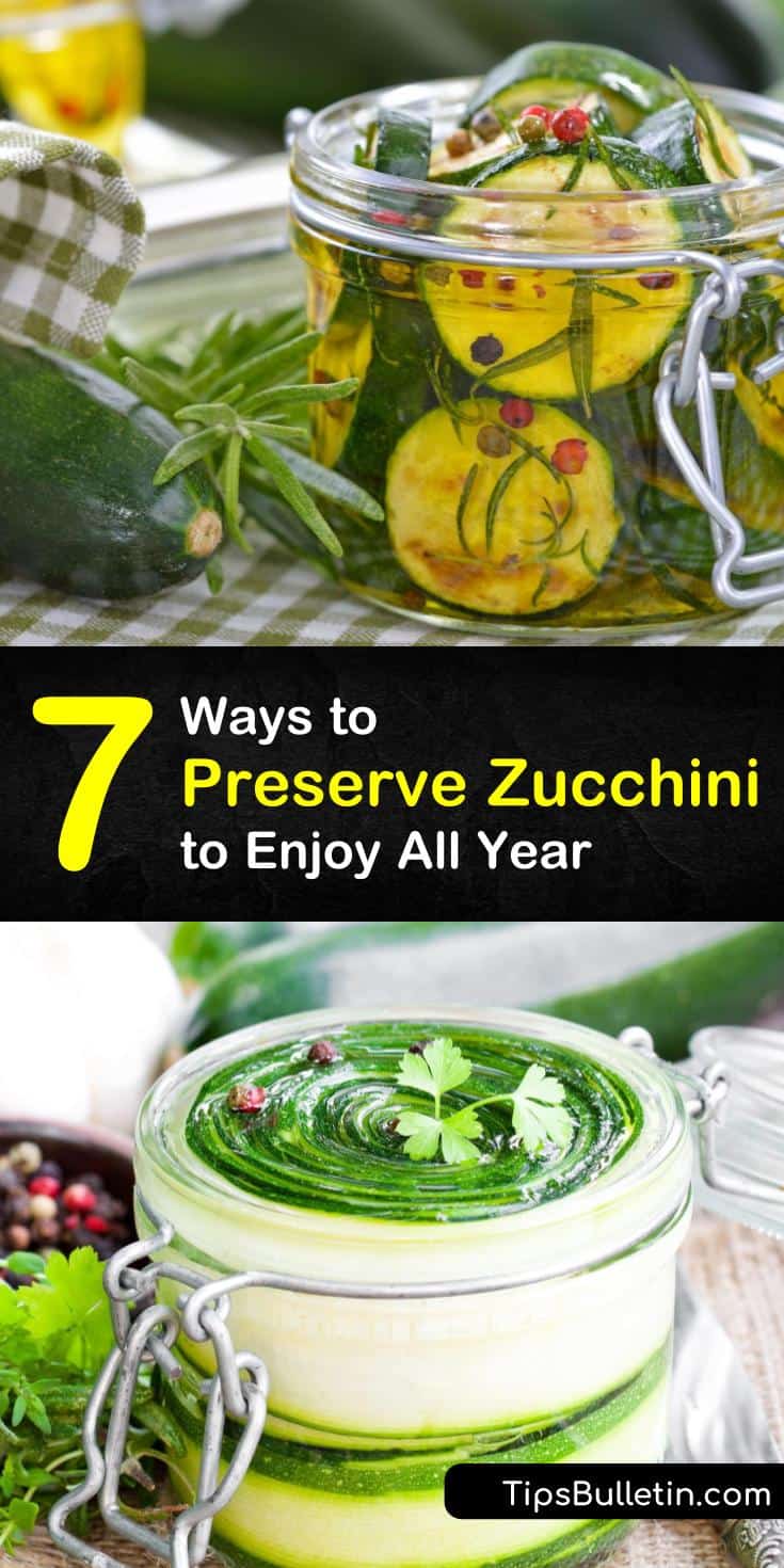 7 Ways to Preserve Zucchini to Enjoy All Year