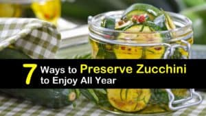 How to Preserve Zucchini titleimg1