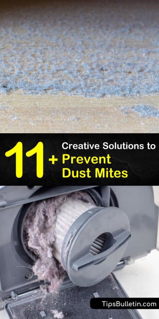 Discover easy methods to prevent dust mite allergens residing in carpeting. Find out how the correct vacuum cleaner, dehumidifier, and air conditioning units help control dust. Vacuuming with a HEPA filter and cleaning washable fabrics with hot water are two easy tricks. #preventing #dust #mites