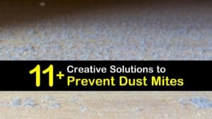 How to Prevent Dust Mites titleimg1