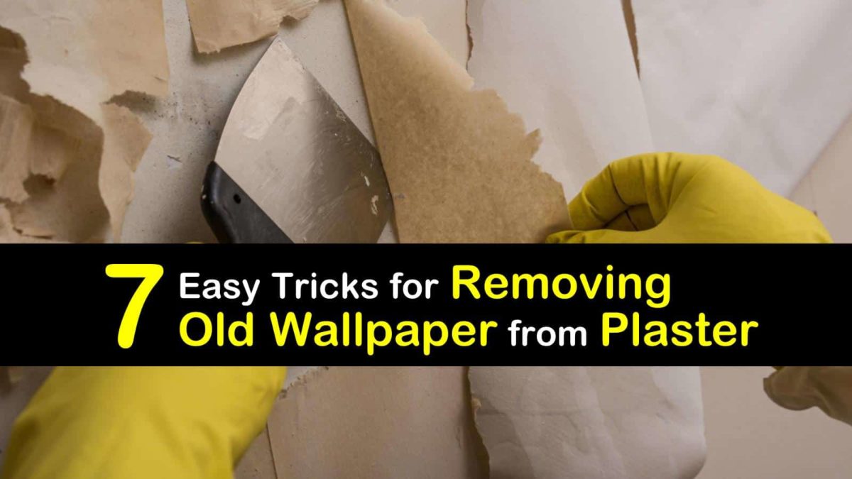 7 Easy Tricks for Removing Old Wallpaper from Plaster