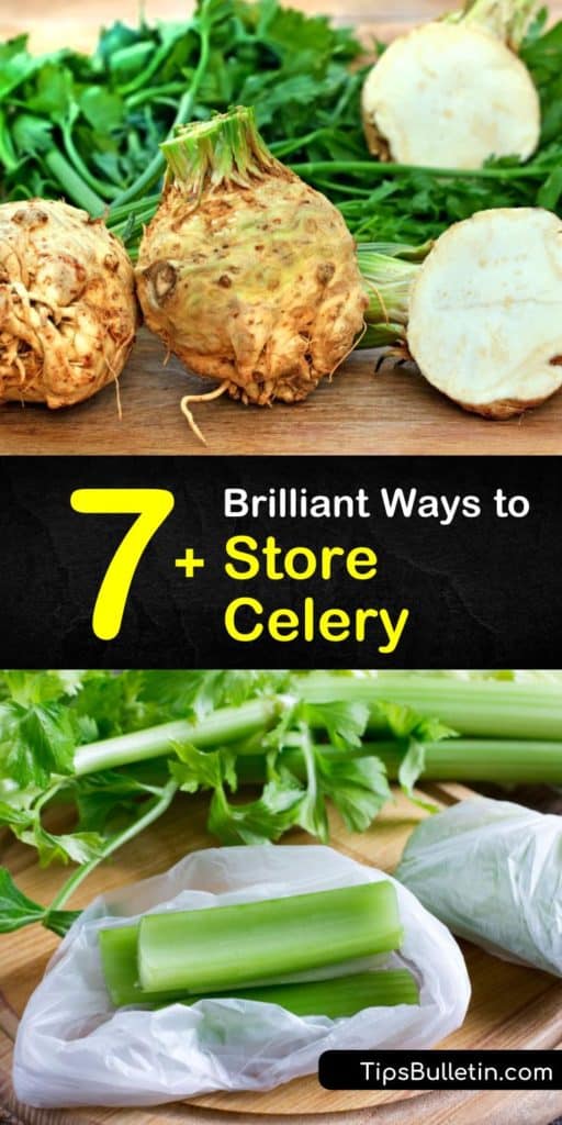 Once you know how to keep celery fresh with only a paper towel, an airtight container, and your fridge’s crisper drawer, you’ll want to buy a bunch of celery every time you go to the grocery store. Learn how to store celery with these tips that make it easier than ever. #howto #storage #celery