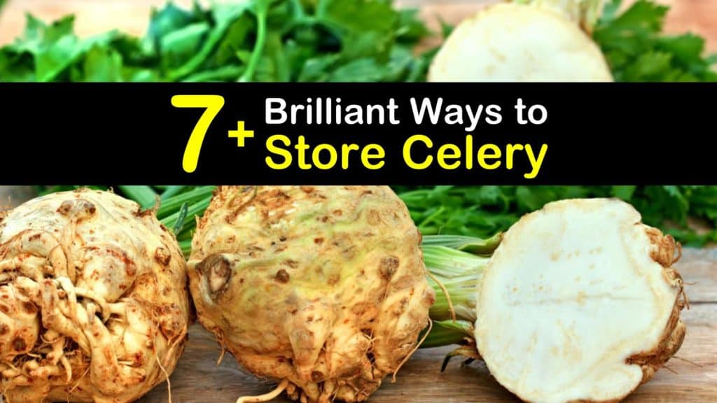 How to Store Celery titleimg1