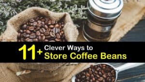 How to Store Coffee Beans titleimg1