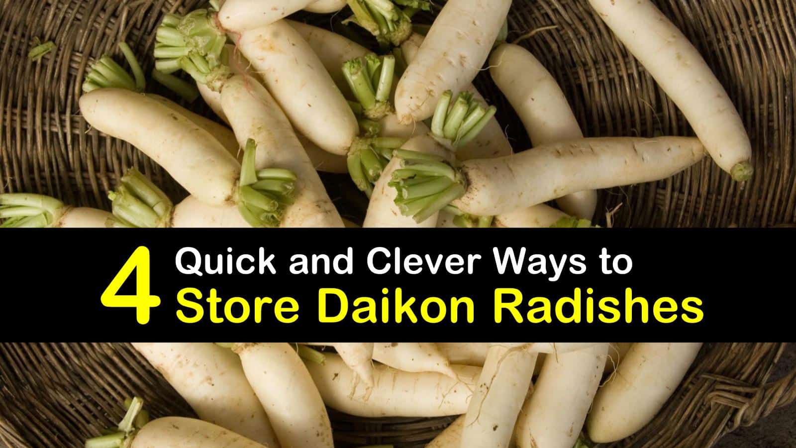 4 Quick And Clever Ways To Store Daikon Radishes